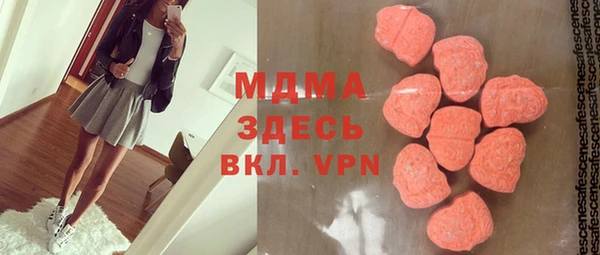 прущие грибы Абаза