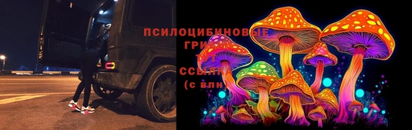 ешки Абинск
