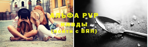прущие грибы Абаза