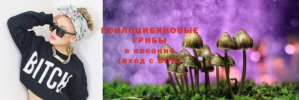 прущие грибы Абаза