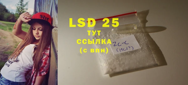 прущие грибы Абаза