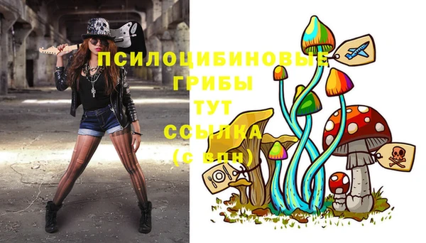 молекула духа Абдулино