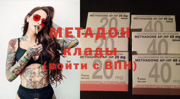 прущие грибы Абаза