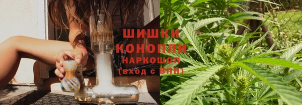 прущие грибы Абаза