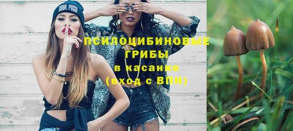 ешки Абинск