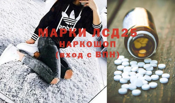 прущие грибы Абаза