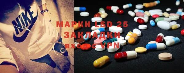 прущие грибы Абаза