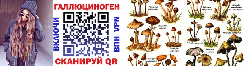Галлюциногенные грибы Cubensis  это клад  Южа 